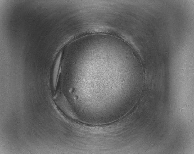 X0000068830010200605081225