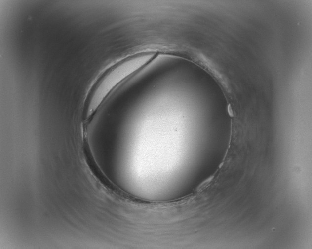 X0000068830011200605081225