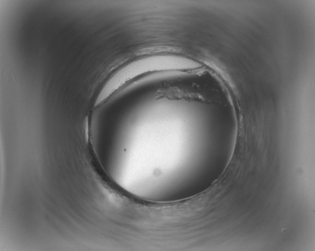 X0000068830013200605081225