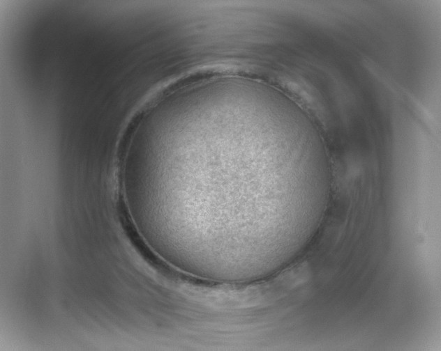 X0000068830016200605081225