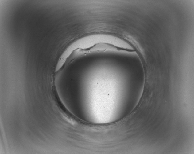 X0000068830017200605081225