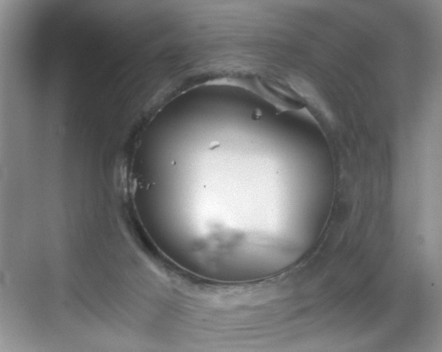 X0000068830021200605081225