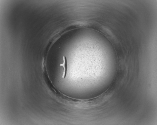 X0000068830024200605081225