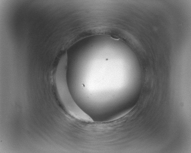 X0000068830025200605081225