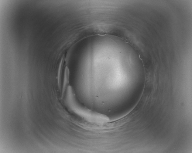 X0000068830027200605081225