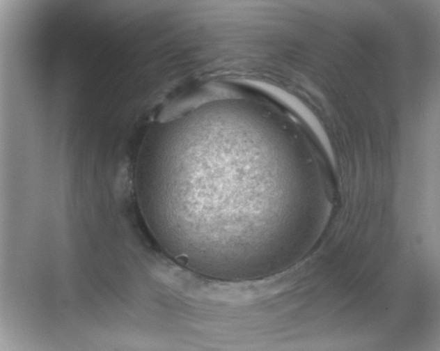 X0000068830029200605081225