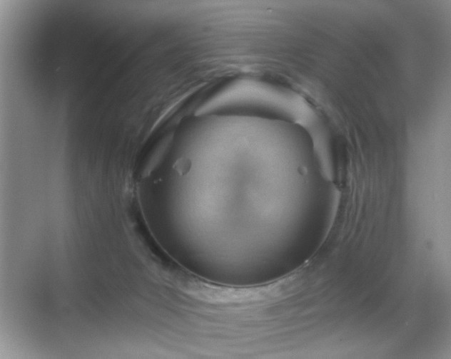 X0000068830031200605081225