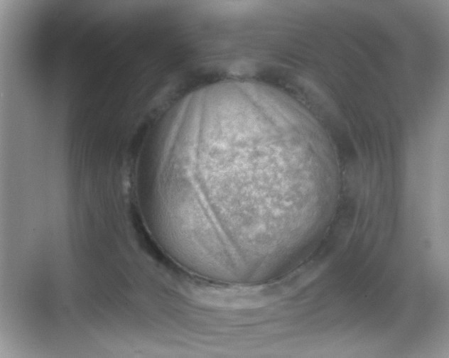 X0000068830032200605081225