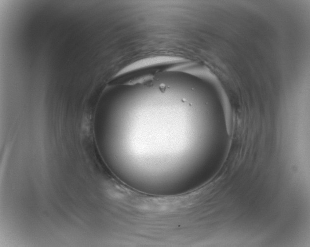 X0000068830033200605081225