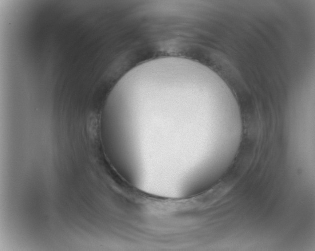 X0000068830036200605081225