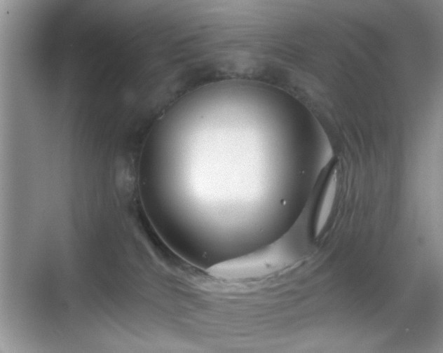 X0000068830040200605081225