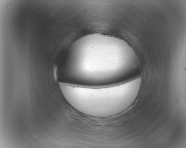 X0000068830041200605081225