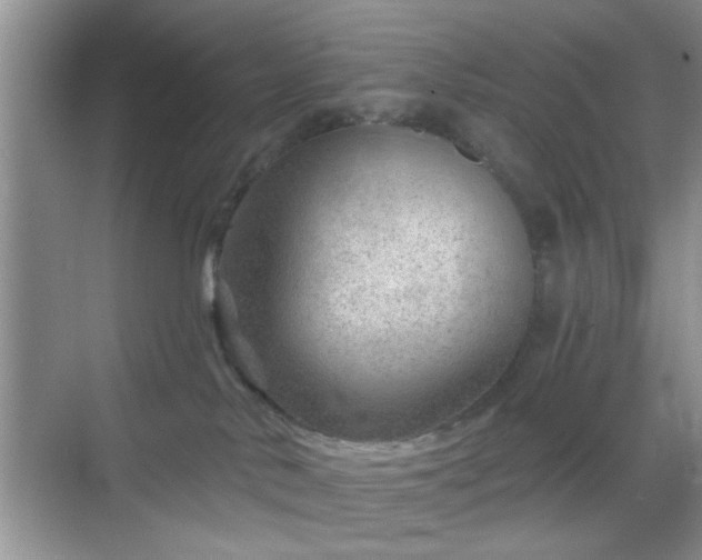 X0000068830042200605081225