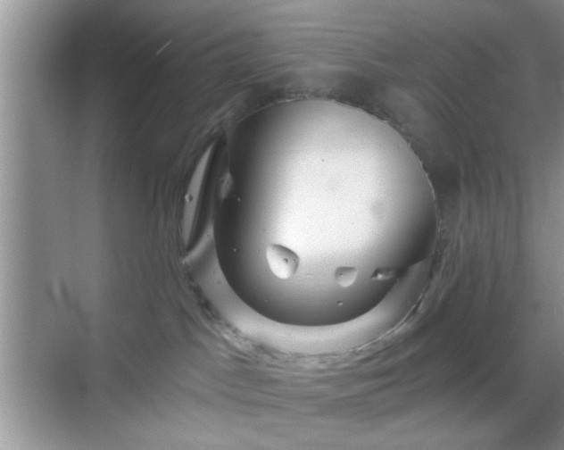 X0000068830045200605081225