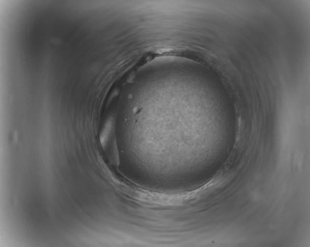 X0000068830048200605081224