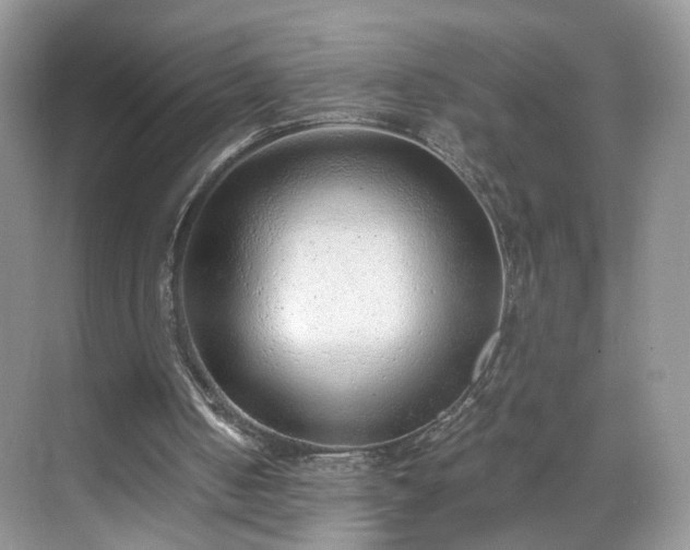 X0000068830050200605081224