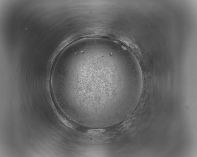 X0000068830051200605081224