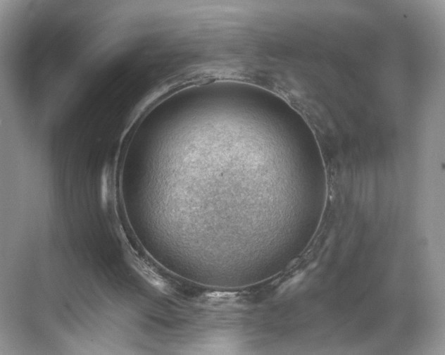 X0000068830052200605081224