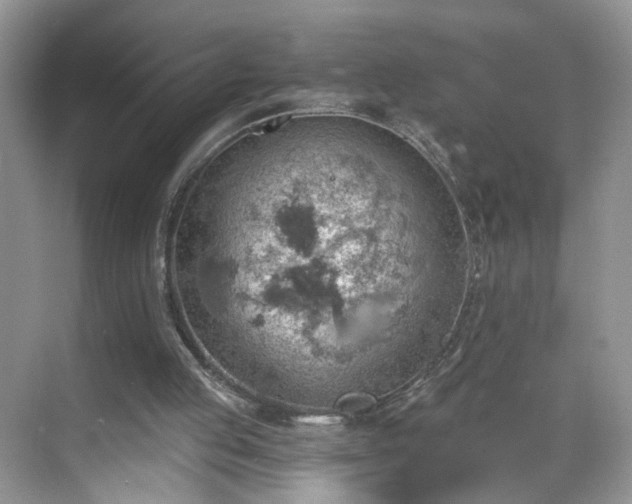 X0000068830053200605081224