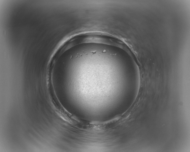 X0000068830056200605081224