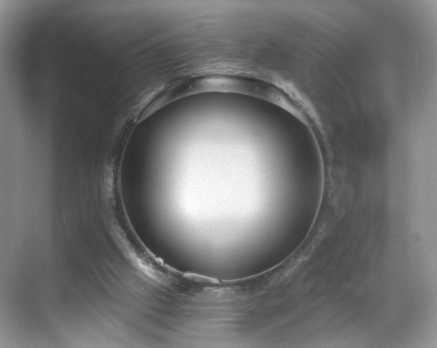 X0000068830057200605081224