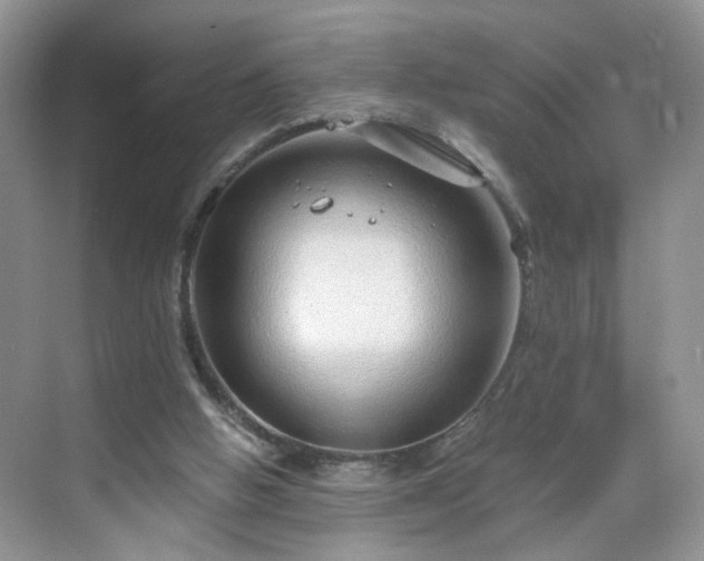 X0000068830058200605081224