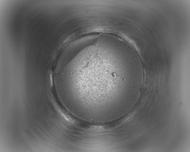 X0000068830061200605081224