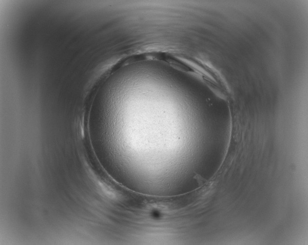 X0000068830062200605081224