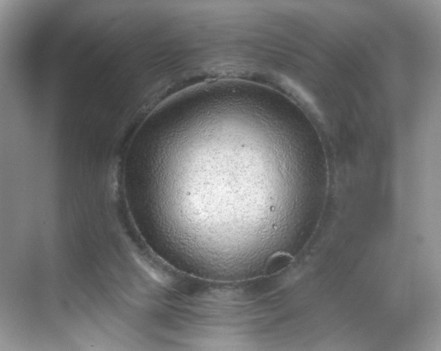 X0000068830065200605081224