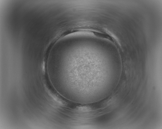 X0000068830067200605081224