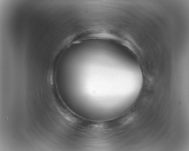 X0000068830068200605081224