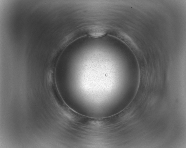 X0000068830071200605081224