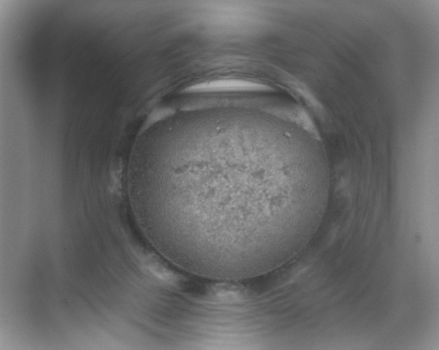 X0000068830073200605081224