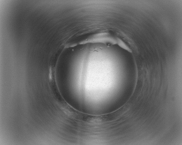 X0000068830075200605081224