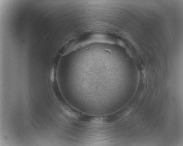 X0000068830076200605081224