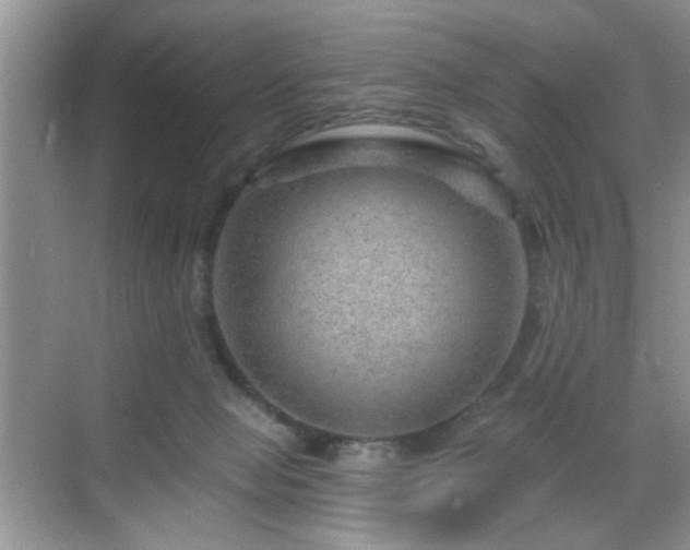 X0000068830077200605081224