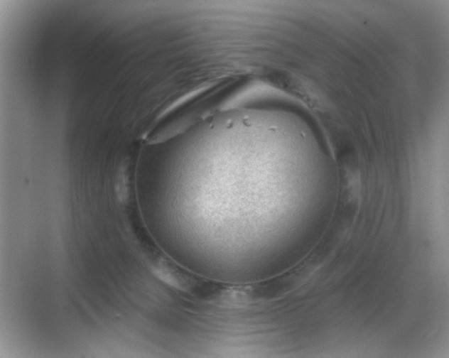 X0000068830080200605081224