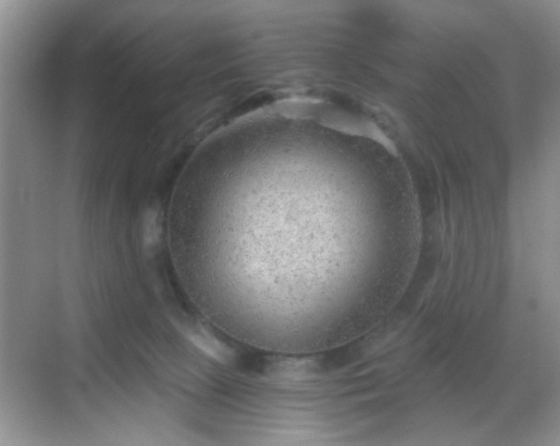 X0000068830081200605081224