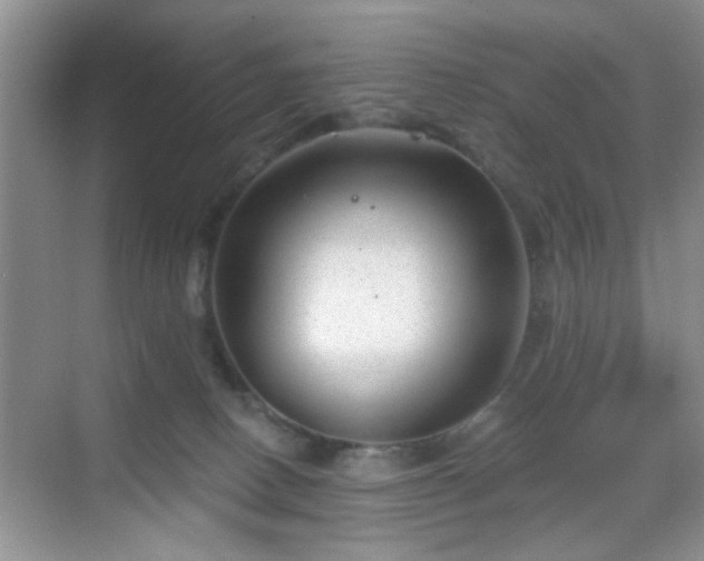 X0000068830082200605081224