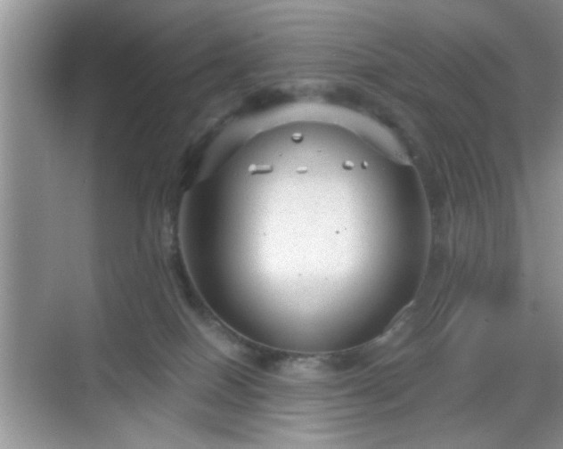 X0000068830086200605081224