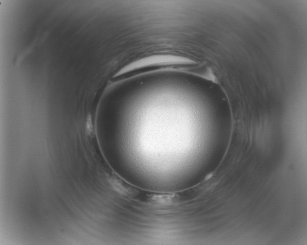 X0000068830089200605081224