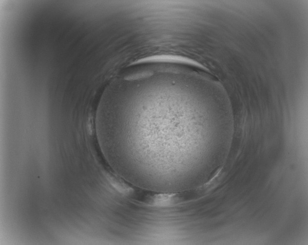 X0000068830090200605081224