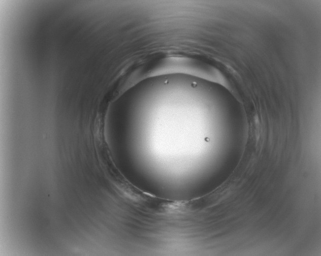 X0000068830092200605081224