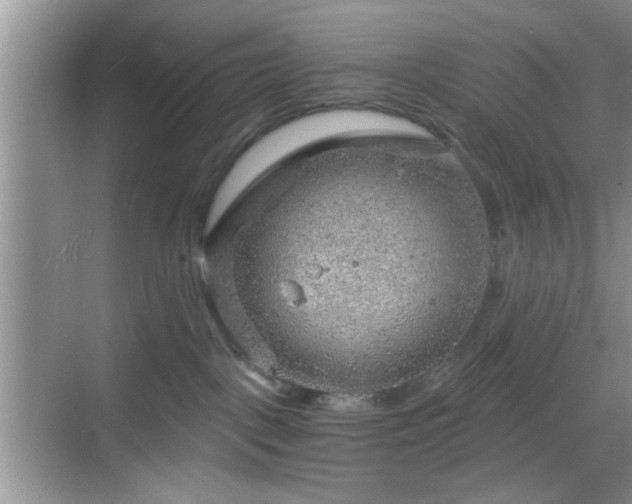 X0000068830093200605081224