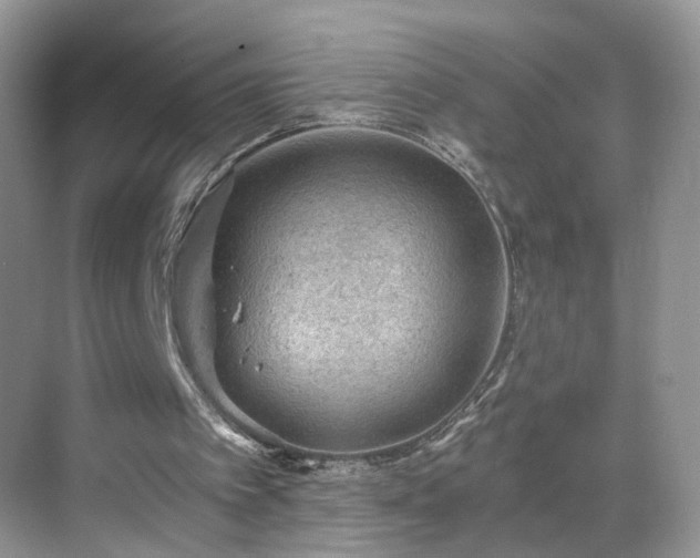 X0000068830097200605081224