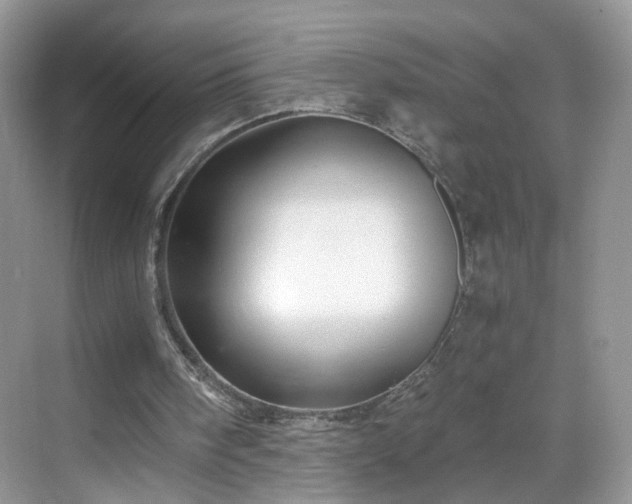 X0000068830098200605081224