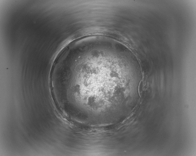 X0000068830099200605081224