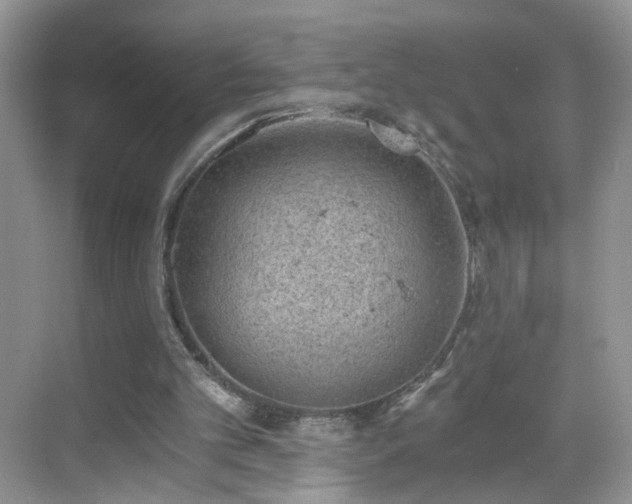 X0000068830101200605081224