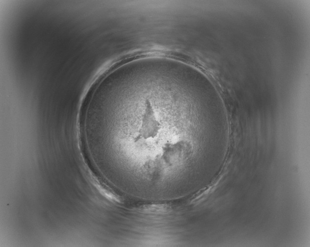 X0000068830102200605081224