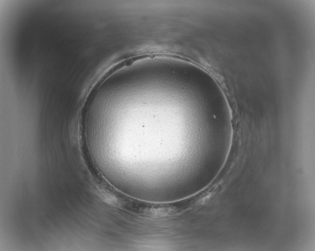 X0000068830103200605081224